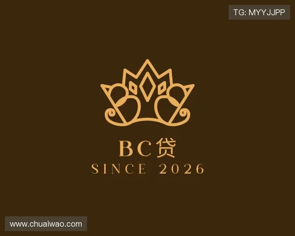 了解bc贷